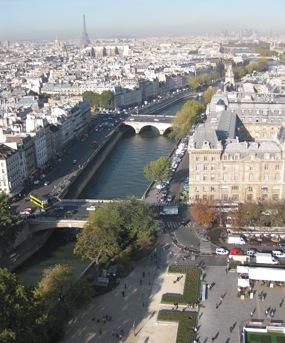 View from Notre-Dame towers, Paris