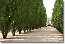Allee, Grand Trianon, Versailles, France