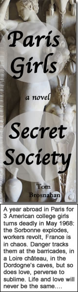 Paris Girls Secret Society, a novel