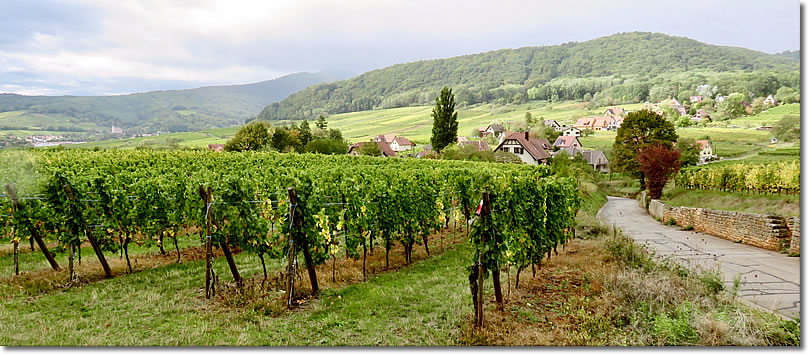 Mittelbergheim, on the Alsace Wine Route, France