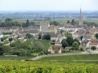 Meursault, Burgundy, France