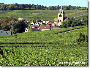Vineyards & village in Champagne, France