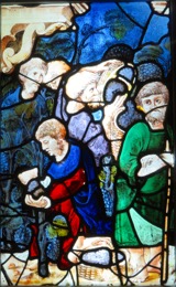 Apostles harvesting grapes, stained glass, Chartres