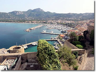 Harbor, Calvi, Corsica, France