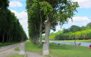 Fontainebleau Park, France