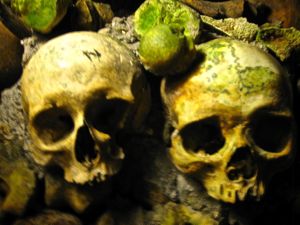 Skulls, Catacombs, Paris