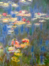 Water lilies, Orangerie, Paris